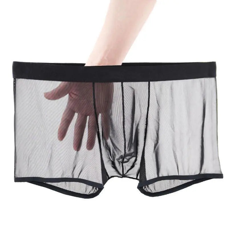 Men's Underwear Transparent Boxers Bulge Ice Silk See Through Underpants Sexy Briefs Low Waist Panties Lingerie Intimates