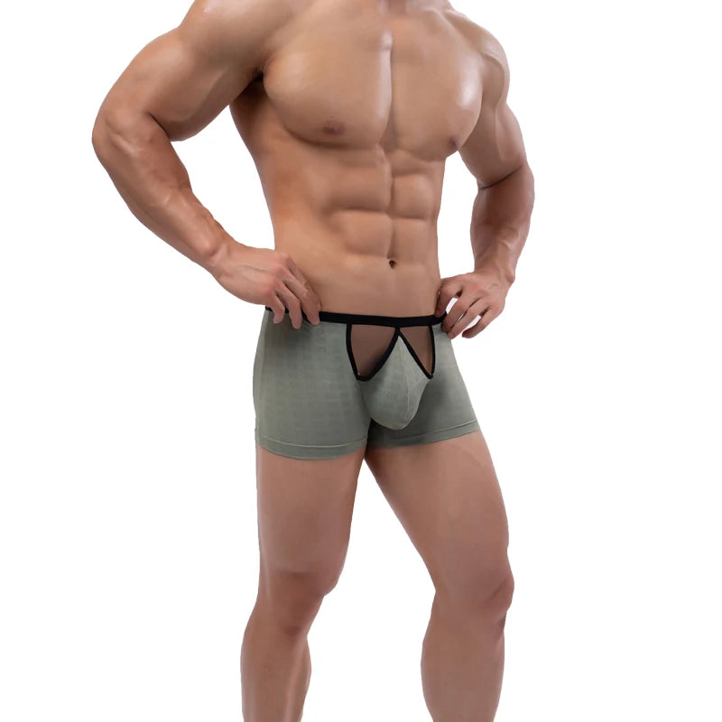 Mens Mesh Boxer Shorts Low Waist Hollow Out Penis Pouch Bereathable Undewear Cuecas Underpants Slip Sheer Panties Boxershorts