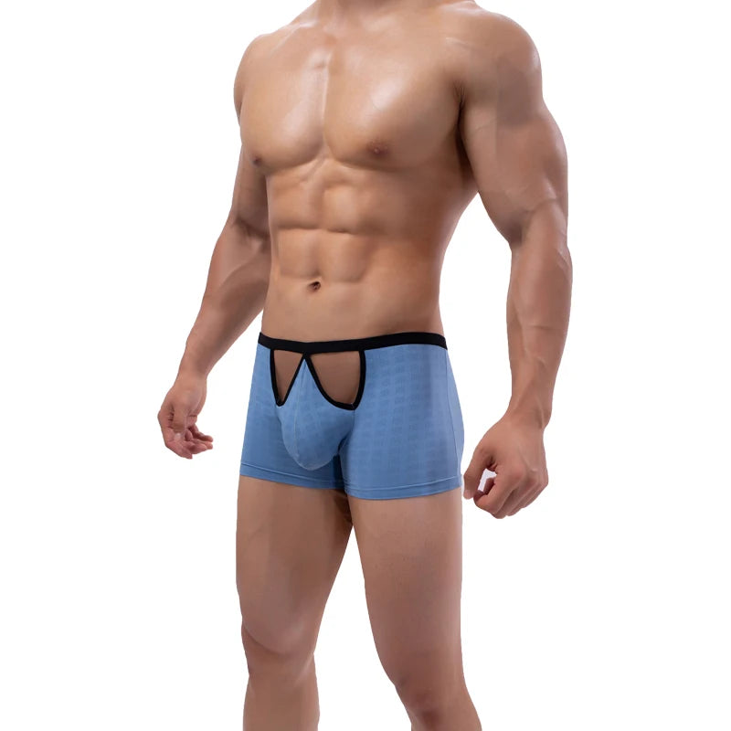 Mens Mesh Boxer Shorts Low Waist Hollow Out Penis Pouch Bereathable Undewear Cuecas Underpants Slip Sheer Panties Boxershorts